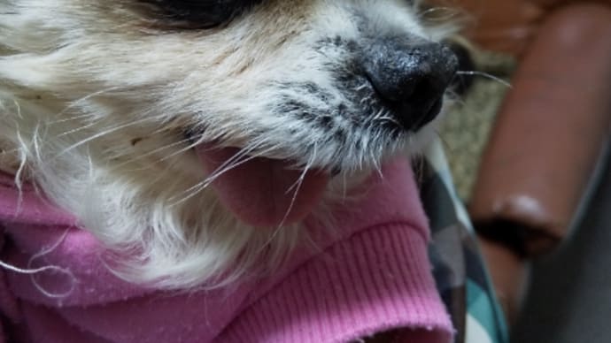 中々です。
