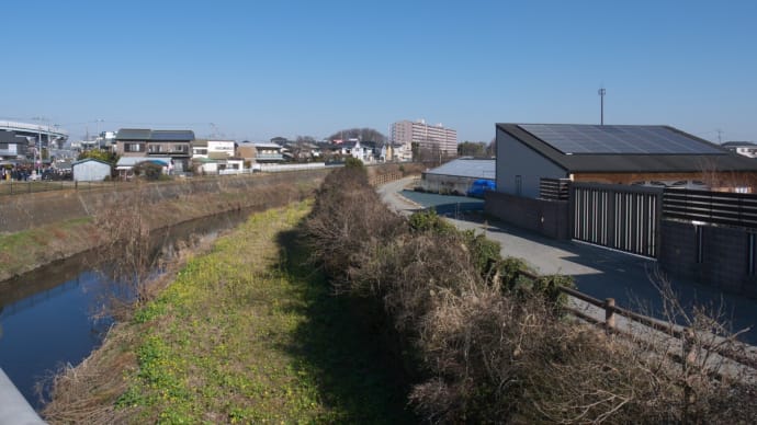 1月の寒川神社:混雑している寒川神社境内から外に出てJR相模線宮山駅へ PART2
