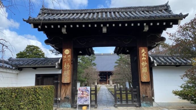 妙顕寺*まるごと美術館2024春