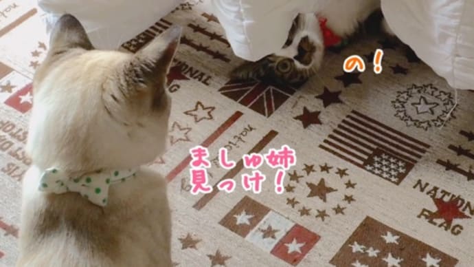 10月1日、金曜日です