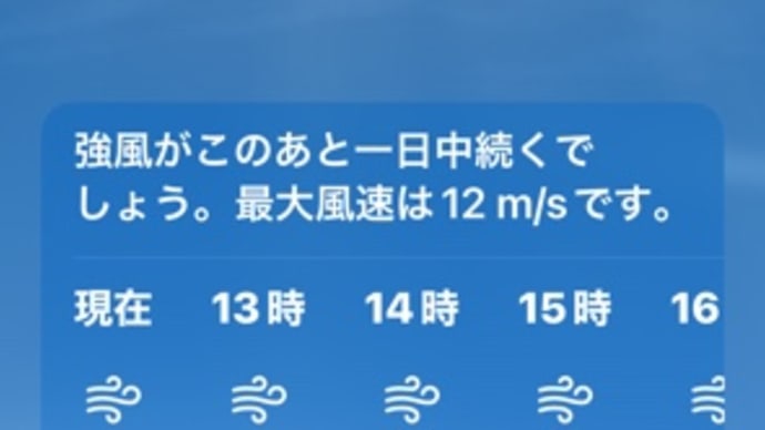 オアフ島の午後#️⃣13 2025春