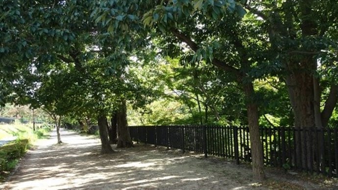 終盤に近付いたね