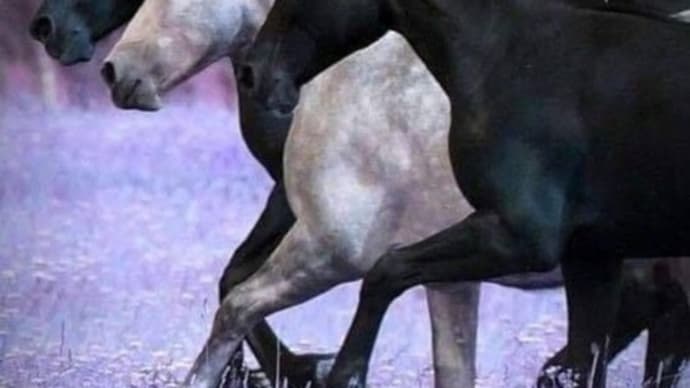 紫の草原を駈ける馬たち