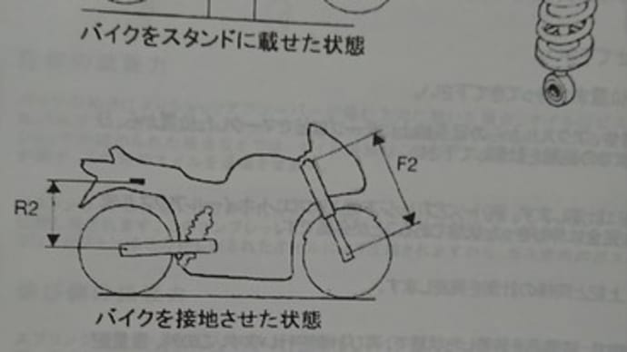 姿勢チェックと鏡チェック。