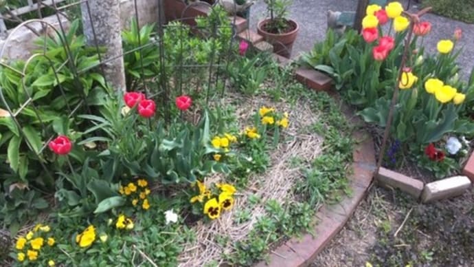 日替わりGarden