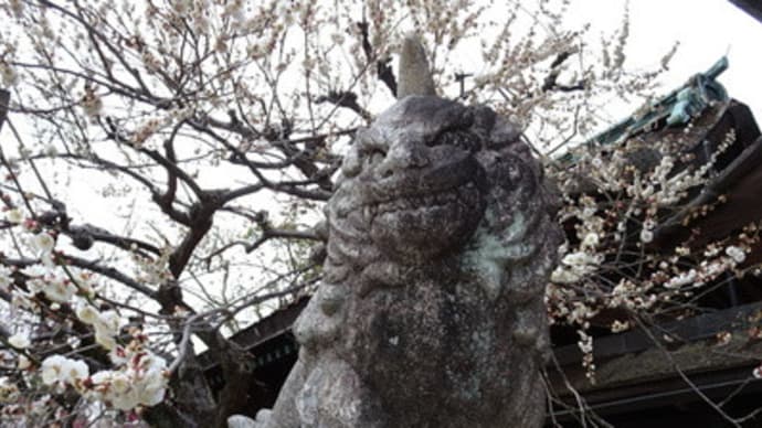 北野天満宮の梅と刀・前編　＠　京都妖怪探訪（６１０）