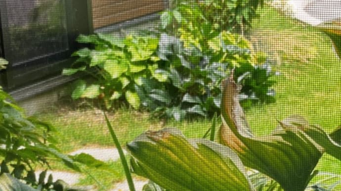 見失った自分を見つけて。