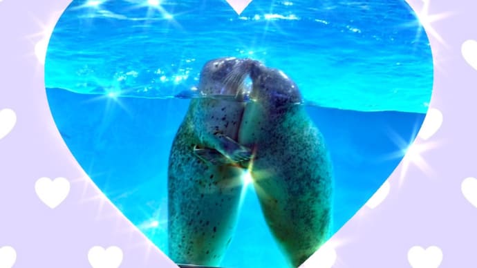 下田海中水族館 犬と南伊豆旅行⑧