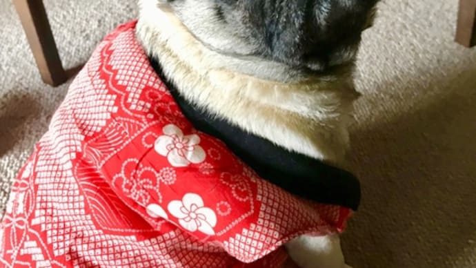 ココさんのちゃんちゃんこ
