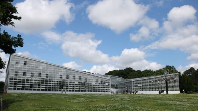 5月の神代植物公園(3)