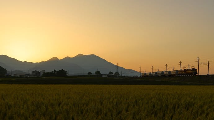 今日の504レ