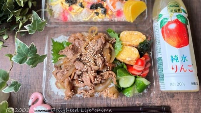 今日の2食弁当~牛カルビ丼&ちらし寿司