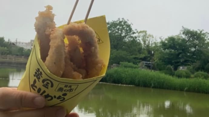 5月ラスト