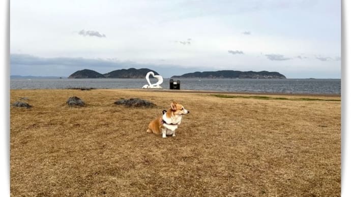 波戸岬