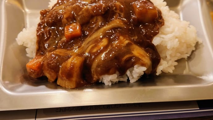 2022・12・21 昼飯は横須賀海上自衛隊カレー掃海艦はちじょうポークカレー