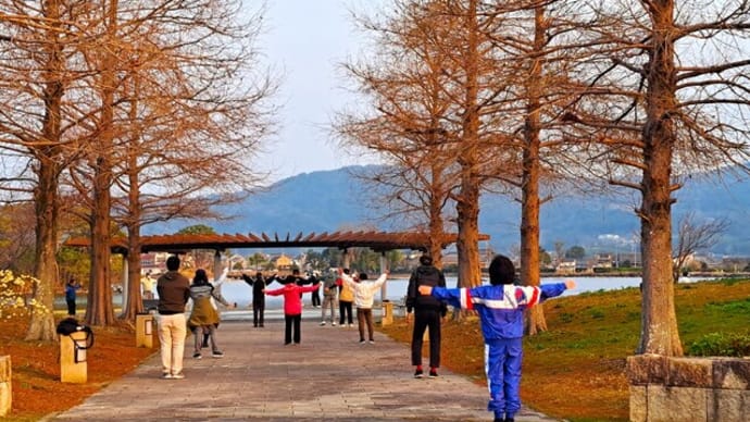 朝の散歩 平池公園 39 3.21~31