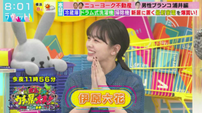 六花(りっか)ちゃん