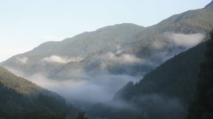 令和5年7月28日・今朝の東祖谷19℃