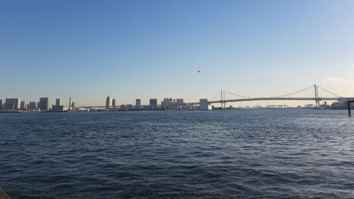 久し振りの外出。