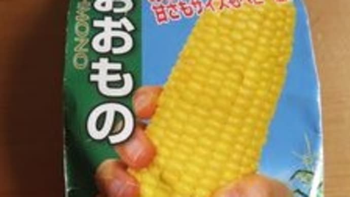 歯科医へ