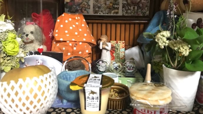 100日という日数