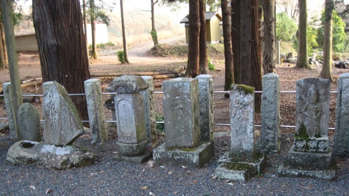 足利市大月町、鹿島神社の庚申塔