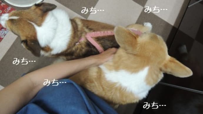あの…。