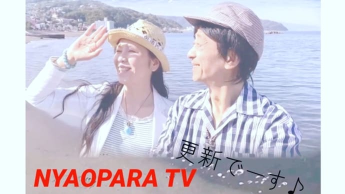 海辺のお散歩！NYAOPARA TV