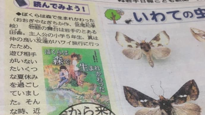 『ぼく森』~岩手日報こども新聞でご紹介いただきました