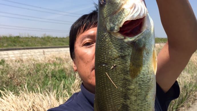 やっとこさ GW最終日