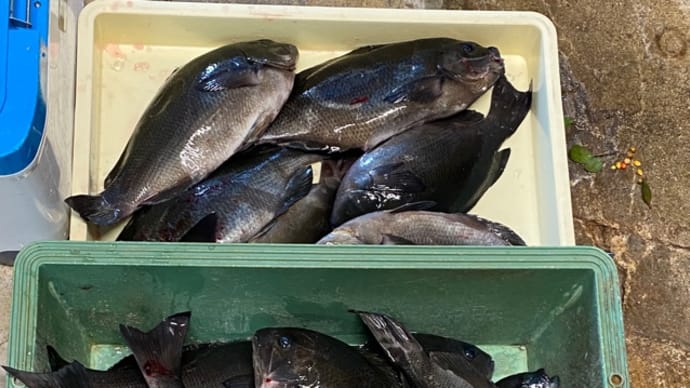 初釣り🎣
