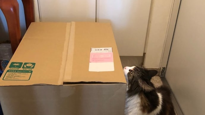 新トイレ