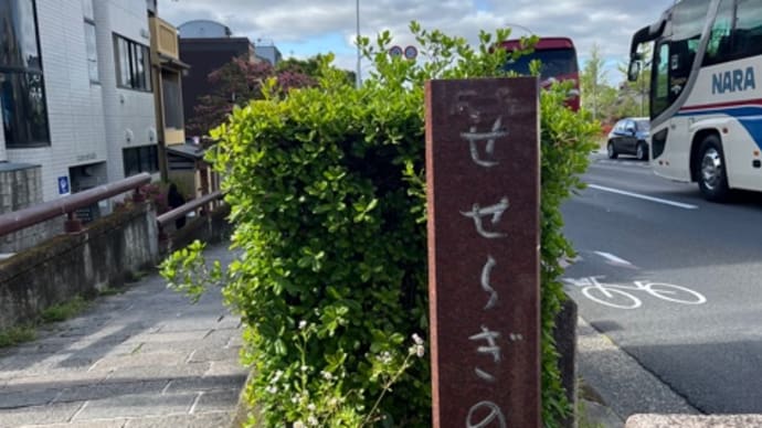 4月24日(木)京都の名所10ヶ所を回るツアー