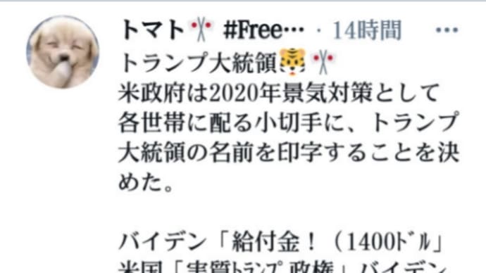 米政府がコロナ景気対策で各世帯に配る小切手に【トランプ大統領の名前】が印字!1400ドル!バイデンが法案に署名したと報道でしたね!バイデンが大統領ですよね?日本政府、メディアの皆さま!バイデン終了