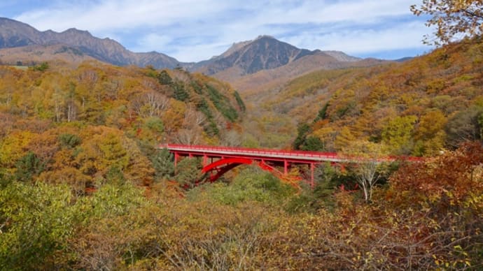 赤い橋の紅葉&黄葉