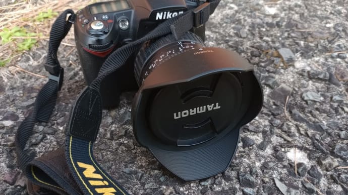 ネットオークションで落札した広角レンズ?Nikon
