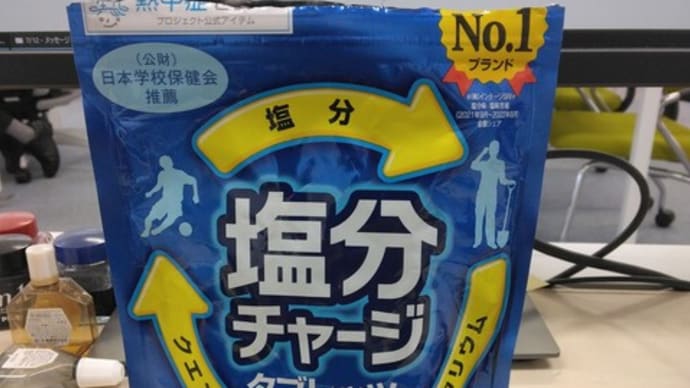 塩分が不足していたのですね