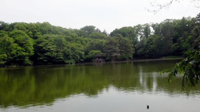 Shakujii Park / Musasiseki Park