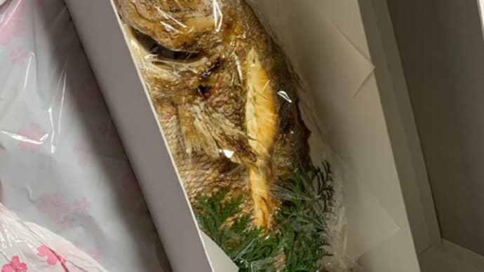 笠島君・・・プロの洗礼を浴びる