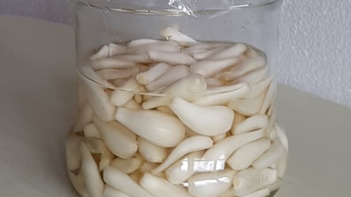 季節仕事・らっきょう漬け