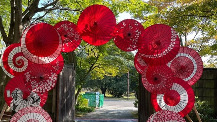 昭和記念公園/秋の昼散歩