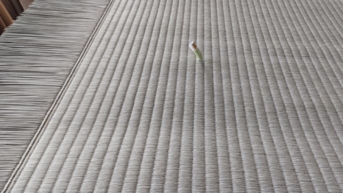 10月