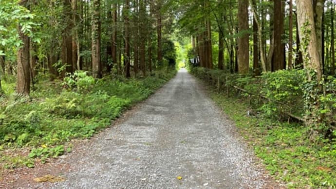 天山湯治郷 その3 虎屋茶寮と松岡別荘陶磁器館