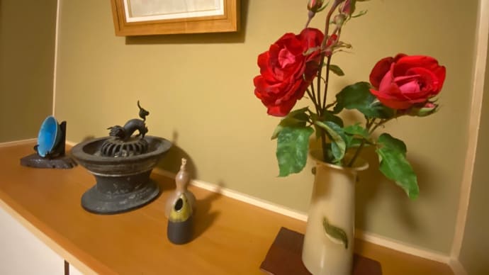 赤い薔薇🌹