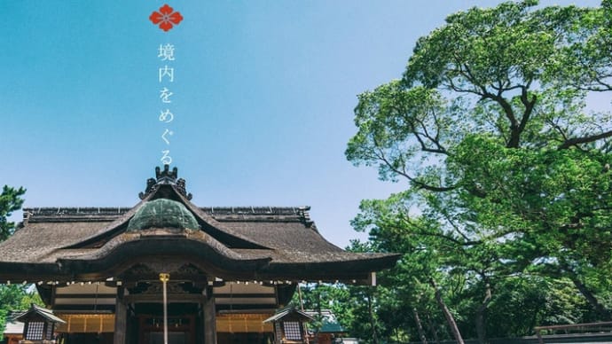 孫5号の初宮まいりに行って来ました。