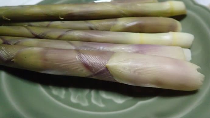 一番美味しい筍料理はこれ!