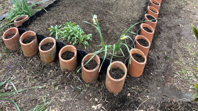 花壇が少し進化して・・・
