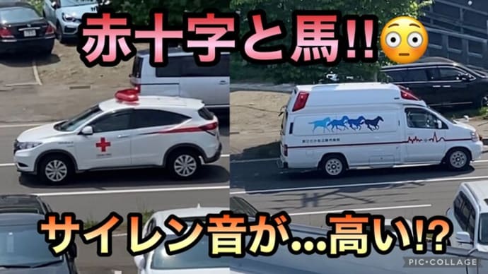 【緊急走行】血液輸送車とまた日高町から馬が!サイレンの違いがまた凄い!