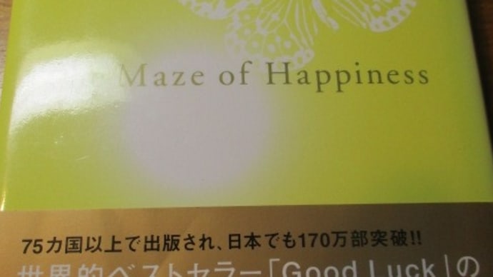 幸福の迷宮 スペインの売れっ子経営コンサルタントが書いた幸せ探しの物語・・・君の窓がどんなに小さくたって、空はいつだって広い
