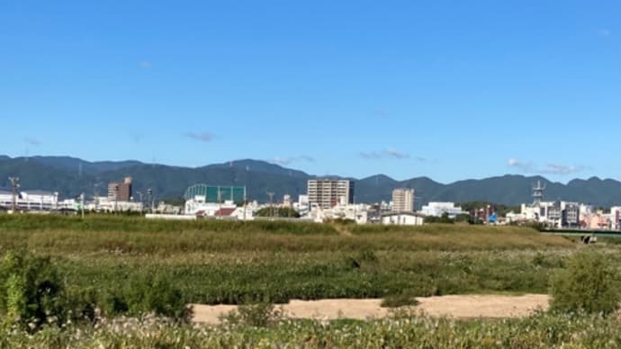 鬱です。